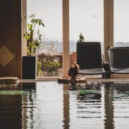 Főnix Club & Wellness Hévíz Hévíz - Egyéb