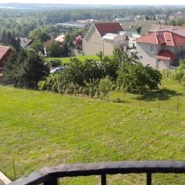 Főnix Wellness Panzió Hévíz - Medence/kert