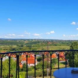 Főnix Wellness Panzió Hévíz - Medence/kert