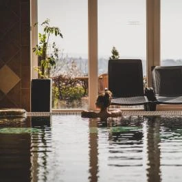 Főnix Wellness Panzió Hévíz - Egyéb