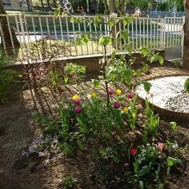 Hévíz Apartman Hévíz - Egyéb