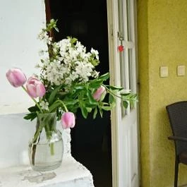 Hévíz Apartman Hévíz - Egyéb