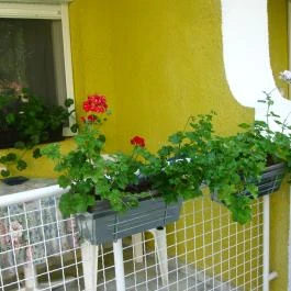 Hévíz Apartman Hévíz - Egyéb