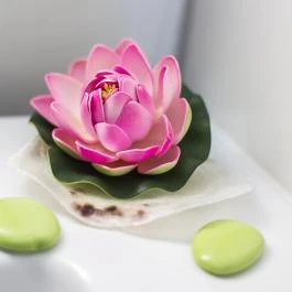 Holiday Club Apartman Hotel Hévíz Hévíz - Egyéb