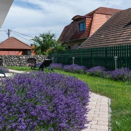 Holiday Club Apartman Hotel Hévíz Hévíz - Medence/kert