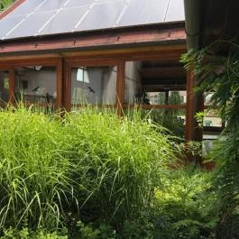 Ágnes Hotel Hévíz - Medence/kert