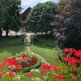 Ágnes Hotel Hévíz - Medence/kert