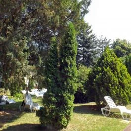 Hotel Aquamarin Hévíz - Medence/kert