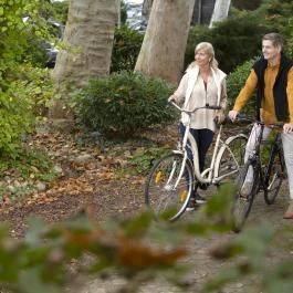 NaturMed Hotel Carbona Hévíz - 