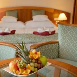 Palace Hotel Hévíz - Szobák