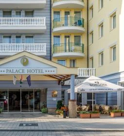 Palace Hotel 