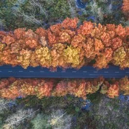 Hunguest Hotel Panoráma Hévíz - Egyéb