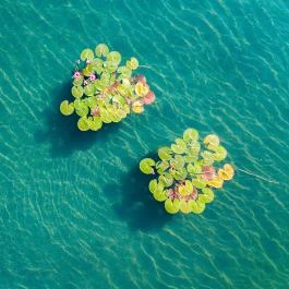 Hunguest Hotel Panoráma Hévíz - Egyéb