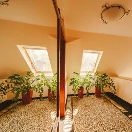 Park Hotel Hévíz Hévíz - Belső