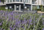 Spa Residence Carbona Thermal Hévíz Iguacu Apartman Hévíz