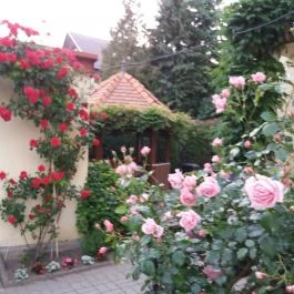 Judit Vendégház Hévíz - Medence/kert