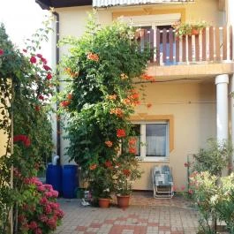 Judit Vendégház Hévíz - Medence/kert