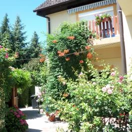 Judit Vendégház Hévíz - Medence/kert