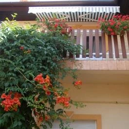 Judit Vendégház Hévíz - Medence/kert