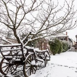 Kaktusz Villa Hévíz - Egyéb