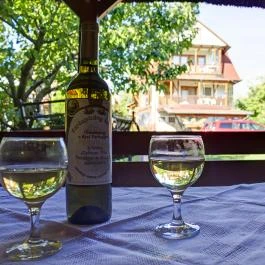 Kaktusz Villa Hévíz - Vendéglátás