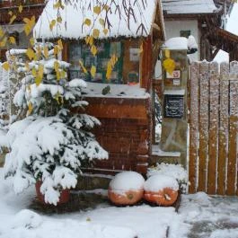 Kaktusz Villa Hévíz - Egyéb