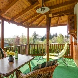 Kaktusz Villa Hévíz - Medence/kert