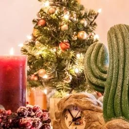 Kaktusz Villa Hévíz - Egyéb