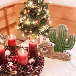 Kaktusz Villa Hévíz - Egyéb