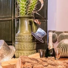 Kaktusz Villa Hévíz - Belső