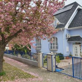 Lagúna Apartmanház Hévíz - Medence/kert