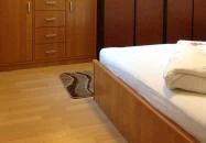 Ludmilla Apartman Hévíz