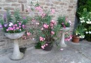 Magdi Panzió Hévíz