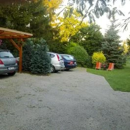 Muskátli Panzió Hévíz - Medence/kert