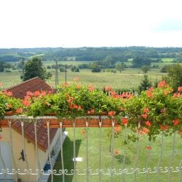 Mutsch Apartmanház Hévíz - Egyéb