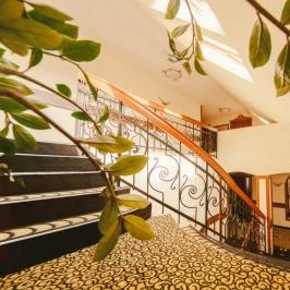 Park Hotel Hévíz Hévíz - Egyéb