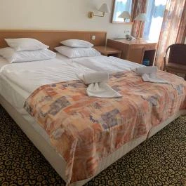 Park Hotel Hévíz Hévíz - Egyéb