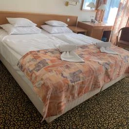 Park Hotel Hévíz Hévíz - Egyéb