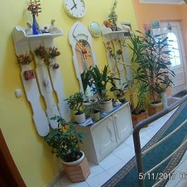 Piroska Apartman Hévíz - Belső