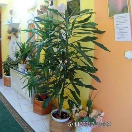 Piroska Apartman Hévíz - Belső