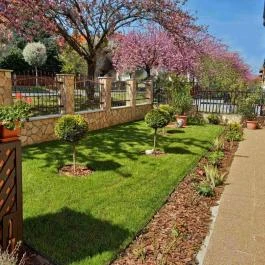 Szécsényi Apartman Hévíz - Egyéb