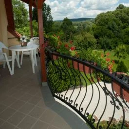 Timpa Apartman Hévíz - Medence/kert