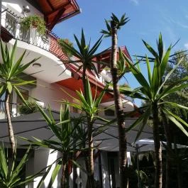 Timpa Apartman Hévíz - Medence/kert