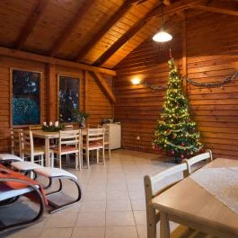 Toldi Panzió Hévíz - Medence/kert