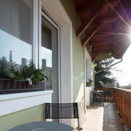 Toldi Panzió Hévíz - Medence/kert