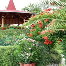 Zöld Oázis Apartmanház Hévíz - Egyéb