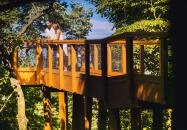 Tavirózsa Tanösvény Hévíz