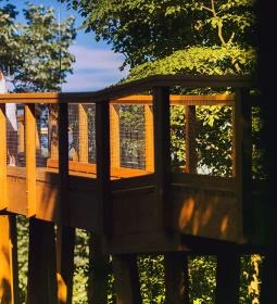 Tavirózsa Tanösvény