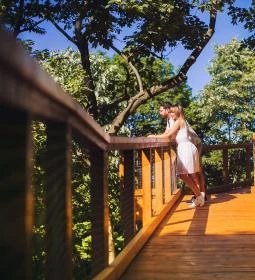 Tavirózsa Tanösvény