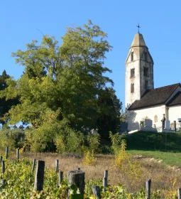 18. legjobb látnivaló: Szent Magdolna-templom